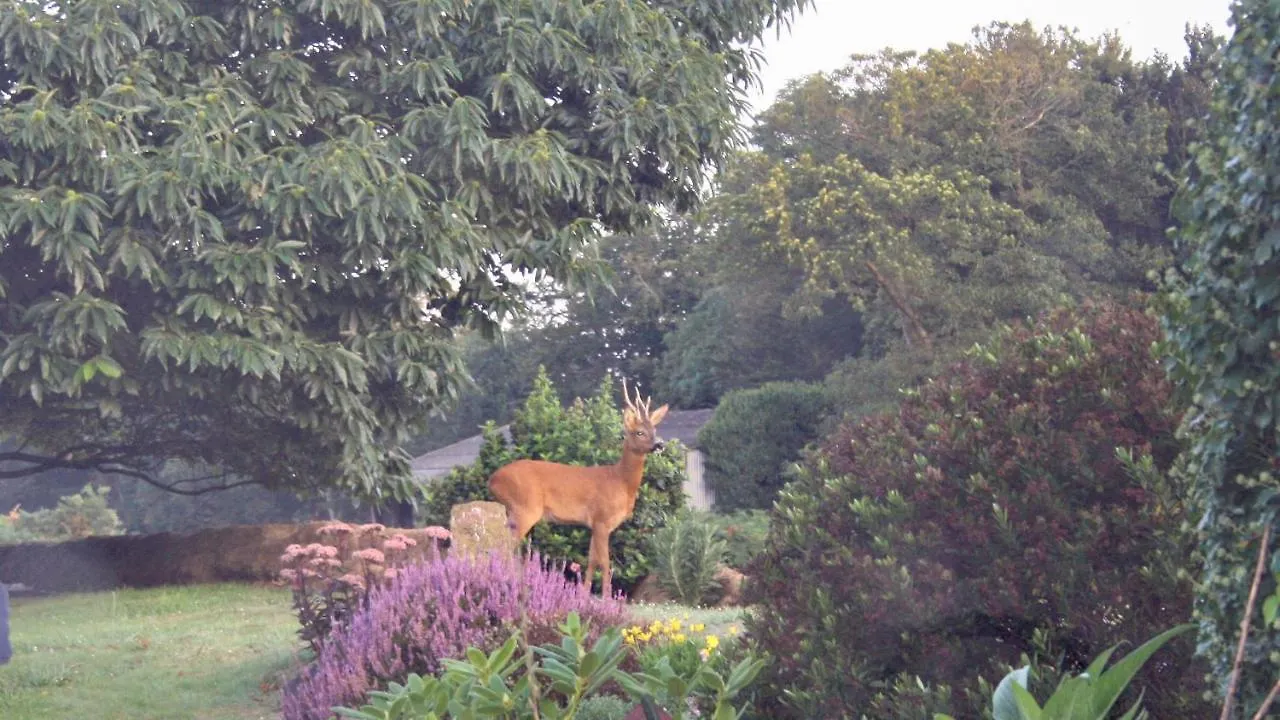 Breizh A-Gevret Bed and Breakfast Lannion 5*,  Frankrijk