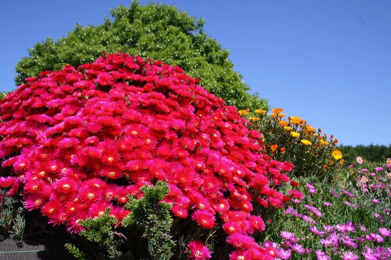 Bed & Breakfast Breizh A-Gevret Bed and Breakfast Lannion