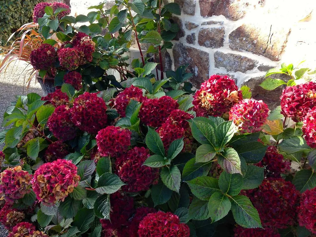 Breizh A-Gevret Bed and Breakfast Lannion